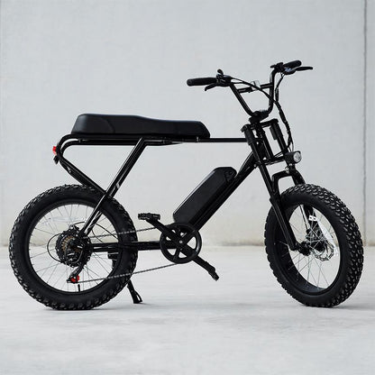 Fat ebike eléctrica M20X negra 20" con frenos de disco