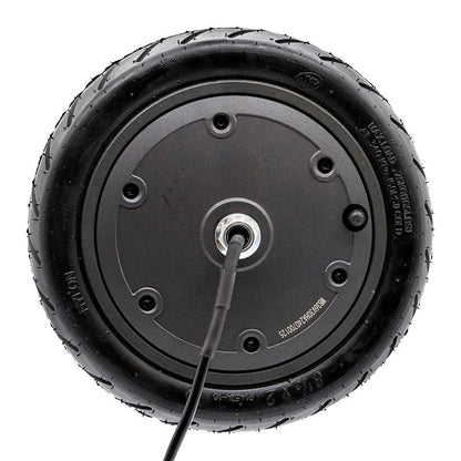 Motor 36V 300W 6,1/B34 para cecotec
