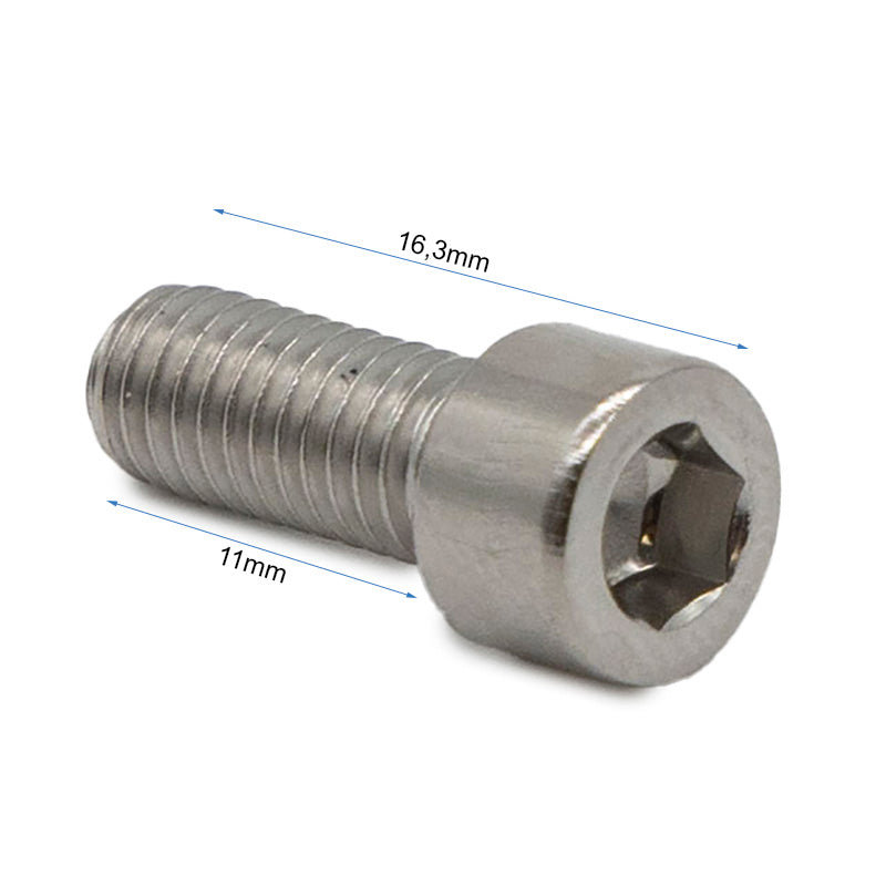 Tornillos guardabarro Dualtron 100 uds